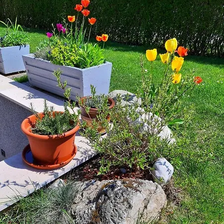 By Tanja&nejc * Bled