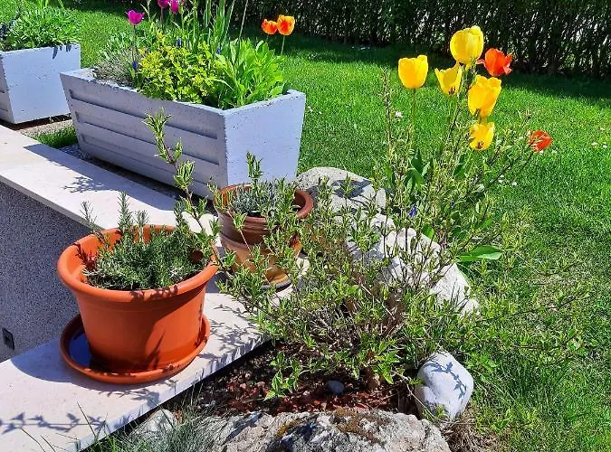 By Tanja&nejc * Bled