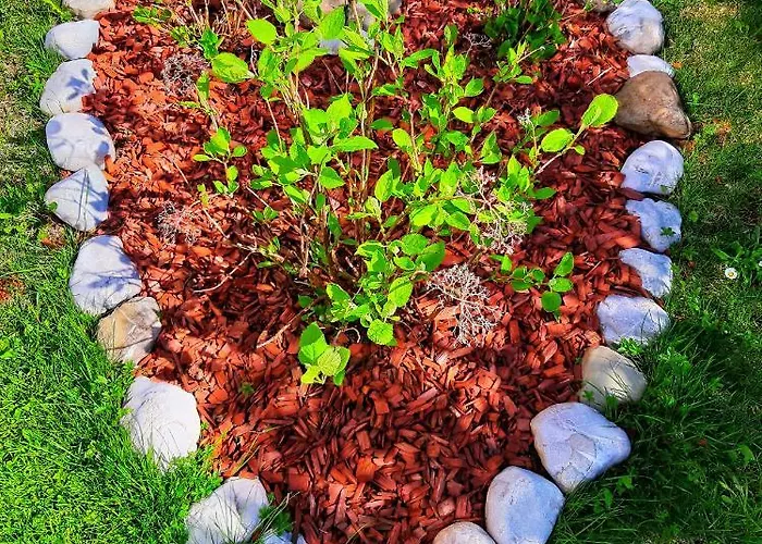 By Tanja&nejc * Bled